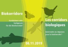 Wasgauer Gespräche 2019: Biokorridore – Autobahnen oder Sackgassen für die Biodiversität?
