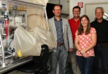 Vom Elektronentransport bis zu enzymatischen Reaktionen: Der Rolle von Eisen-Schwefel-Verbindungen auf der Spur