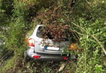 Auto landet in Gebüsch – Zeugen gesucht