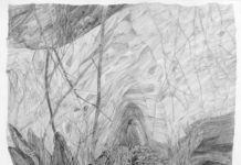 Eva Jospins Naturzeichnung auf den Punkt gebracht – Gespräch in der Sonderausstellung „Wald(t)räume“ im mpk