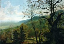 In Wälder eintauchen – Drei Gespräche in der Sonderschau „Wald(t)räume“ und mpk-Dauerausstellung