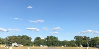 Christbaummarkt auf dem Messeplatz – Ab 12. Dezember breite Auswahl an Bäumen an zwei Ständen