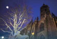 SWR DAS KOCHEVENT „Marktfrisch“ – auf dem Weihnachtsmarkt