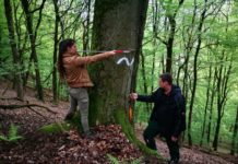 Lust auf ein Open-Air-Semester? Biosphärenreservat Pfälzerwald ist Einsatzort für das Commerzbank-Umweltpraktikum