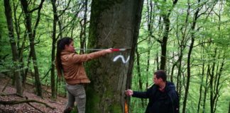 Erstmals freiwilliges ökologisches Jahr im Biosphärenreservat Pfälzerwald