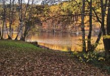 Gelterswoog: Kiefer beruft Runden Tisch ein