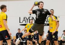 Vorsprung nicht ins Ziel gebracht – Dansenberg und Junglöwen trennen sich 30:30