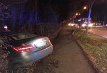 Alkoholisierter Autofahrer pflügt Baum um