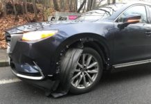 Wildunfall in der Innenstadt