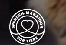Stray Paws Deutschland e.V. aus Mehlingen nimmt am Spenden-Marathon für Tiere teil