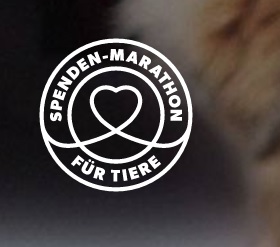 spendenmarathon