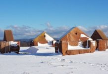 Mehr als 50.000 Euro für über 20 Projekte – Auch 2019 förderte der Bezirksverband Pfalz Kulturschaffende