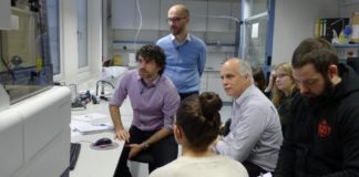 Lebende Zellen besser verstehen