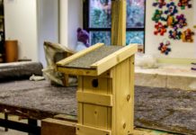 NABU: Meisenkästen selber bauen