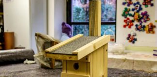 NABU: Meisenkästen selber bauen