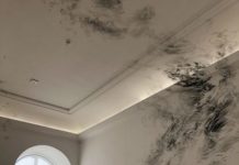 Julia Steiners Wandzeichnung im Prozess – Gespräch vor Beginn der Sonderausstellung „Am Saum des Raumes“ im mpk