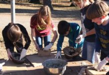 Junge Entdecker im Pfälzerwald – Insgesamt zehn Junior Ranger-Camps in den Oster-, Sommer- und Herbstferien