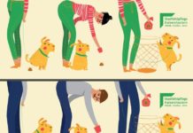 Immer wieder Hundehaufen auf Gehwegen und in Grünanlagen