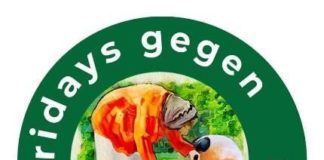 Mahnwache zum Thema „Fridays gegen Altersarmut“