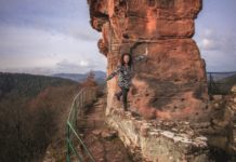 Pfalztheater: Und noch mal: „Beethoven tanzt!“