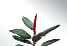 Pfalzpreisträger für Malerei 2006: Peter Rösel – Bild des Monats und Treffen mit Freunden im mpk