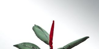 Pfalzpreisträger für Malerei 2006: Peter Rösel – Bild des Monats und Treffen mit Freunden im mpk