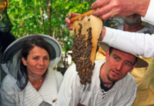 Imkern lernen in Eisenberg (Pfalz)