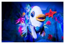 „Der Regenbogenfisch“ zu Gast bei TIM – Vorstellung am 08. Februar in der Scheune des Stadtmuseums