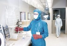 Künstlicher Darm soll Tierversuche eingrenzen