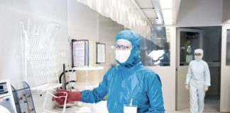 Künstlicher Darm soll Tierversuche eingrenzen