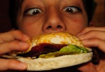 Ausstellung „Tiere auf dem Teller“ im Haus der Nachhaltigkeit