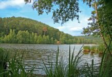 Runder Tisch Gelterswoog am 26. Februar um 17 Uhr im Rathaus