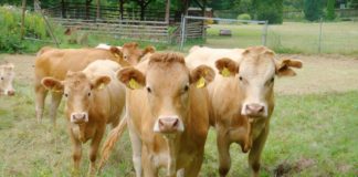 Schmackhaftes Biosphärenreservat