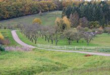 Artenschutz in Kommunen – Präsentation der Leitfäden in Bennhausen