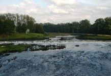 VHS: Abenteuer Lettland – Infoabend zur Studienreise nach Lettland