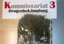 Drogendealer geschnappt, Marihuana sichergestellt