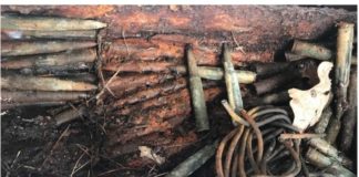 Munitionsfund im Staatsforst Otterberg