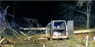 Transporter prallt gegen umgestürzten Baum