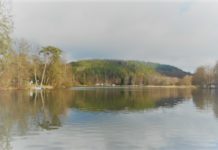 „Wollen baldmöglichst öffnen“ – Strandbad Gelterswoog setzt Sicherheits- und Hygienekonzept um