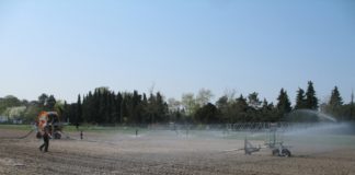 Klimaschutz – was wir wirklich tun müssen: Kolloquium der LUFA in der Stadthalle Speyer