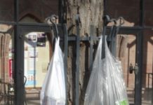 Gabenbaum im Innenhof der Stiftskirche Kaiserslautern