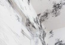 Verändertes Raumgefühl – Gespräch in der Sonderausstellung zu Julia Steiner des mpk