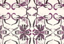 Kunst(früh)stück: Graphisches Zwiegespräch mit der Natur Künstlergespräch mit Nicole Bellaire