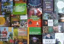 Ohne Wissen kein Wandel – Lesetipps aus dem Haus der Nachhaltigkeit für die Corona-Zeit