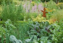 Garten-Wettbewerb eröffnet – Bewerbungen bis 8. April möglich