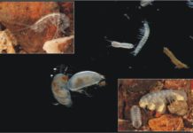 Vortragsveranstaltung „Unser täglich Wasser gib uns heute“