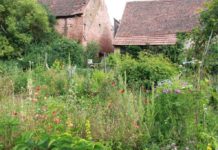 Frist für Teilnahme am Garten-Wettbewerb verlängert – jetzt bis 26. April möglich