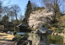 Stimmungsaufheller in Kaiserslautern – wenn der Park zu den Menschen kommt