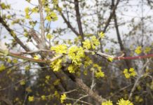 Lebensräume kennen und gestalten – Haus der Nachhaltigkeit gibt Tipps