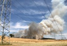 Flächenbrand hinterm Monte Mare – Landesforsten und Polizei warnen vor erhöhter Waldbrandgefahr